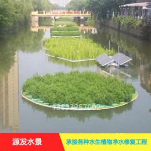 源发承接各种水生植物净水绿化工程  生态浮岛